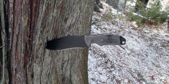 throwing knife in tree