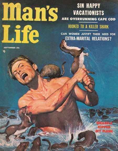 Man's Life man smashes weasel