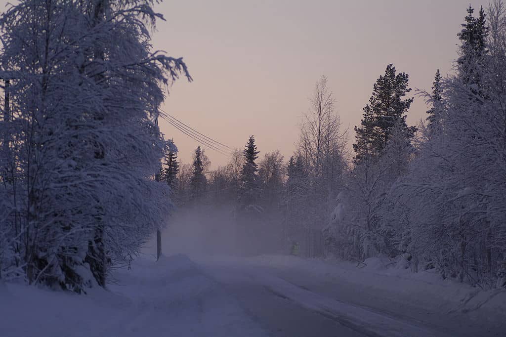 Exploring Northern Finland - Lapland Region Across Seasons