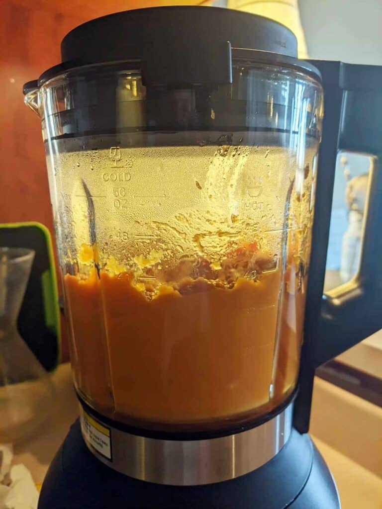 Reviewing The Instant Ace Nova Blender