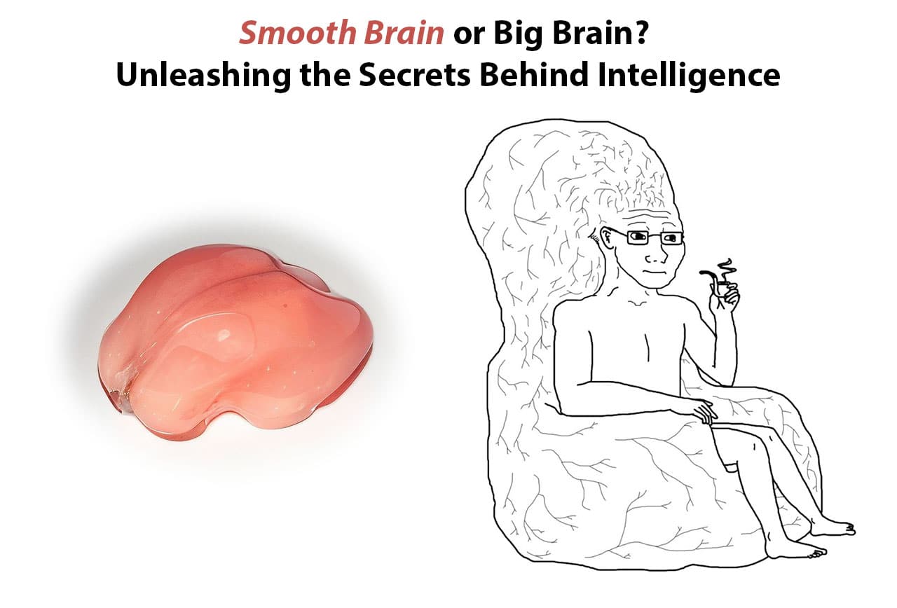 Insult Me All You Wish My Brain Is Too Smooth