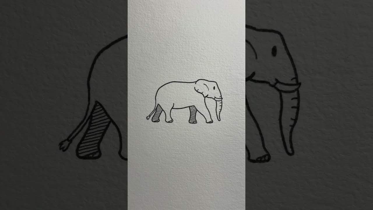 Some cool elephant outlines from today! #elephant #elephanttattoo #tattoo  #lineworktattoo #singlelinetattoo #outlinetattoo #hamont #hamil... |  Instagram